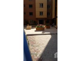 3 Bedroom Apartment for sale at Jewar, 13th District, Sheikh Zayed City