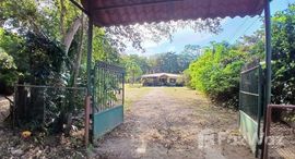 Unités disponibles à La Cruz Guanacaste El Jobo