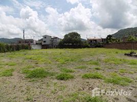  Terrain for sale in San Vicente, Manabi, San Vicente, San Vicente