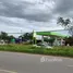  Grundstück zu verkaufen in Nam Chun, Phetchabun, Nam Chun, Lom Sak, Phetchabun, Thailand