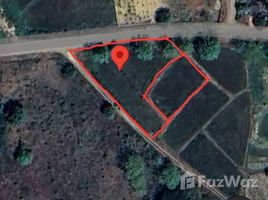 ขายที่ดิน ใน นิคมพัฒนา, ลำปาง, นิคมพัฒนา, เมืองลำปาง, ลำปาง, ไทย