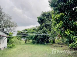  Land for sale in Thalang Phuket, Choeng Thale