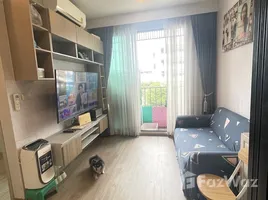 1 Habitación Departamento en alquiler en BRIXTON Pet and Play Sukhumvit 107, Bang Na, Bang Na, Bangkok