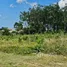  Земельный участок for sale in Чернг Талай, Пхукет, Чернг Талай, Тхаланг, Пхукет, Таиланд