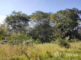  Terrain for sale in Yoro, El Progreso, Yoro