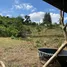  Земельный участок for sale in Lo Yung, Пханга, Lo Yung
