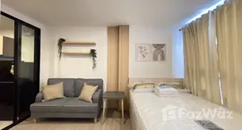 ยูนิตมือสองและให้เช่า