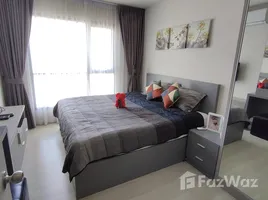 1 Bedroom Condo for rent at Life Sukhumvit 48, Phra Khanong, Khlong Toei, Bangkok, Thailand