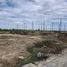  Land for sale at Pinthongland Factory Village, Lahan, Bang Bua Thong, Nonthaburi