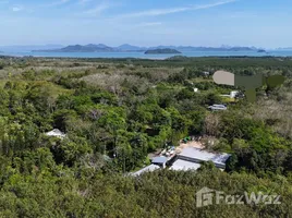  Land for sale in Thalang Phuket, Pa Khlok, Thalang, Phuket