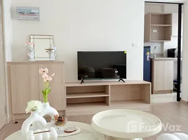 1 Schlafzimmer Wohnung zu vermieten im Dcondo Reef Phuket, Kathu, Kathu