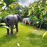  Торговые площади for sale in Ao Nang, Краби, Ao Nang, Mueang Krabi, Краби