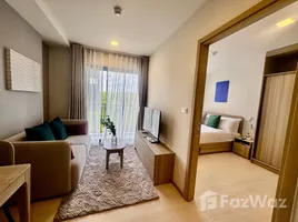 1 Bedroom Condo for rent at The Base Rise, Wichit, Phuket Town, Phuket