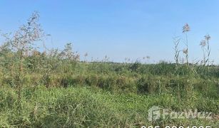 N/A Land for sale in Mai Tra, Phra Nakhon Si Ayutthaya 