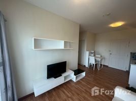 1 Bedroom Condo for rent at The Trust Condo Huahin, Hua Hin City, Hua Hin, Prachuap Khiri Khan