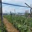  Grundstück zu verkaufen im Condominium For Sale in La Guacima, Alajuela, Alajuela
