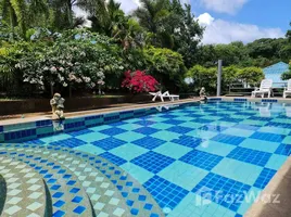 วิลล่า 2 ห้องนอน ให้เช่า ในทำเล ราไวย์, ภูเก็ต, ราไวย์