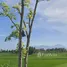  Grundstück zu verkaufen in Praya, Lombok, Praya, Lombok Tengah