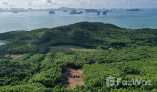 N/A Land for sale in Ko Yao Noi, Phangnga 