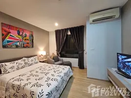 Studio Apartment for rent at Zcape I, Choeng Thale, Thalang