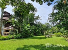 4 Bedroom House for rent in Chiang Mai, Mae Rim, Chiang Mai