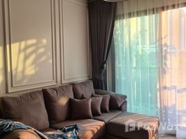 อพาร์ทเม้นท์ 2 ห้องนอน ให้เช่า ในโครงการ ไลฟ์ วัน ไวร์เลส, ลุมพินี