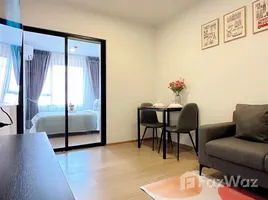 1 Bedroom Condo for rent at Chewathai Pinklao, Bang Yi Khan, Bang Phlat