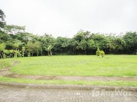N/A Land for sale in , Alajuela Alfaro, Alajuela, Address available on request