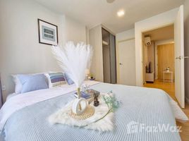 คอนโด 1 ห้องนอน ให้เช่า ในโครงการ แอทโมซ คาแนล รังสิต, บางพูน