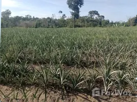  Terrain for sale in Amazonas, Rio Preto Da Eva, Amazonas