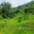  Land for sale in Chalong, Phuket Town, Chalong