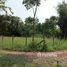  Land for sale in Thailand, Dong Chen, Phu Kamyao, Phayao, Thailand