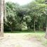  Land for sale in Orotina, Alajuela, Orotina