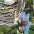 1 Bedroom Condo for rent at Elio Del Nest, Bang Na, Bang Na, Bangkok, Thailand