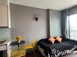 1 Bedroom Condo for rent at C Ekkamai, Khlong Tan Nuea, Watthana, Bangkok, Thailand