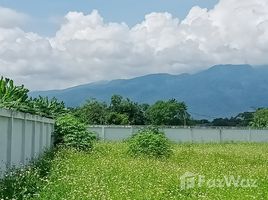 ขายที่ดิน ใน เหมืองแก้ว, เชียงใหม่, เหมืองแก้ว, แม่ริม, เชียงใหม่