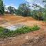  Land for sale in Sakhu, Phuket, Sakhu