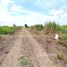  Земельный участок for sale in Na Mai, Патумтани, Na Mai, Lat Lum Kaeo, Патумтани, Таиланд