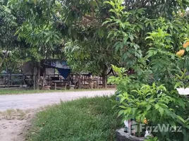 2 Habitación Adosado en alquiler en Tailandia, Thai Mueang, Thai Mueang, Phangnga, Tailandia