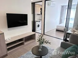 1 Bedroom Condo for rent at THE BASE Bukit, Wichit, Phuket Town, Phuket, Thailand