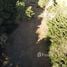  Land for sale in Barva Heredia, Barva, Heredia, Costa Rica