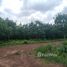  Terreno (Parcela) en venta en Prachin Buri, Nong Phrong, Si Maha Phot, Prachin Buri