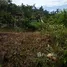  Land for sale in Phuket, Kathu, Kathu, Phuket