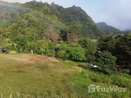  Land for sale in Los Naranjos, Chiriqui, Los Naranjos, Boquete, Chiriqui
