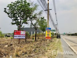  Terrain for sale in Makluea Kao, Sung Noen, Makluea Kao