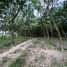  Land for sale in Rayong, Nam Khok, Mueang Rayong, Rayong