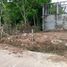  Land for sale in Songkhla, Saba Yoi, Saba Yoi, Songkhla