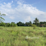  Land for sale in Phetchabun, Sadiang, Mueang Phetchabun, Phetchabun