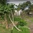  Land for sale in Tabanan, Bali, Tabanan