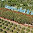  Земельный участок for sale in Wang Chan, Районг, Wang Chan, Wang Chan